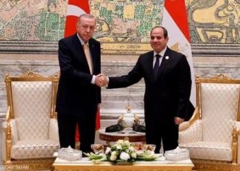 السيسي وأردوغان يبحثان تطورات الأوضاع في ليبيا ويؤكدان على حماية سيادتها