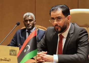 حماد:الحوارات السياسية والمفاوضات الدولية لم تحقق تقدما في حل الازمة الحالية