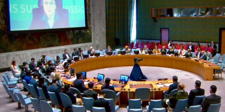 ستيفاني خوري تقدم إحاطتها لمجلس الامن حول الاوضاع في ليبيا في الخامسة مساءً