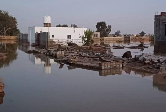 وزارة الشؤون الاجتماعيه ترسل فريقاً لمساعدة الاسر المتضررة في سيدي السائح