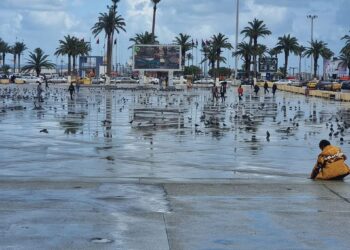 أمطار غزيرة على مناطق الشمال الغربي تؤدي إلى تجمع المياه وجريان بعض الأودية