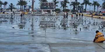 أمطار غزيرة على مناطق الشمال الغربي تؤدي إلى تجمع المياه وجريان بعض الأودية