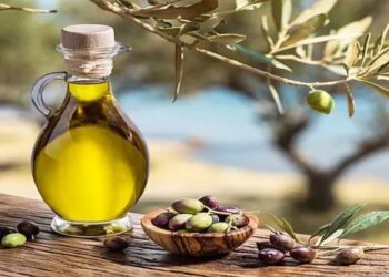 ليبيا تتحصل على ثلاث جوائز في مسابقة زيت الزيتون الدولية بمصر