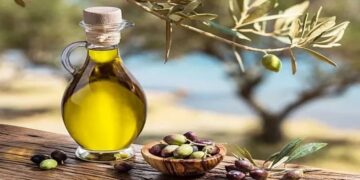 ليبيا تتحصل على ثلاث جوائز في مسابقة زيت الزيتون الدولية بمصر