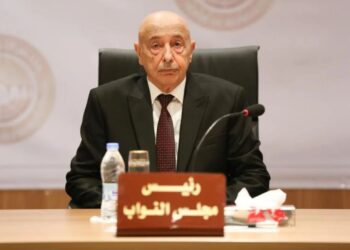 زيارة مرتقبة لعقيلة صالح إلى فرنسا وروما لمناقشة دفع تشكيل حكومة توافقية وحشد الجهود الدولية