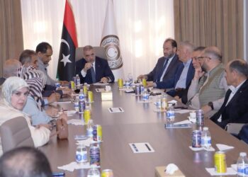 المشري يكلف وفد من الأعلى للدولة لزيارة القاهرة لعقد لقاء تشاوري بين المجلسين الأعلى للدولة والنواب