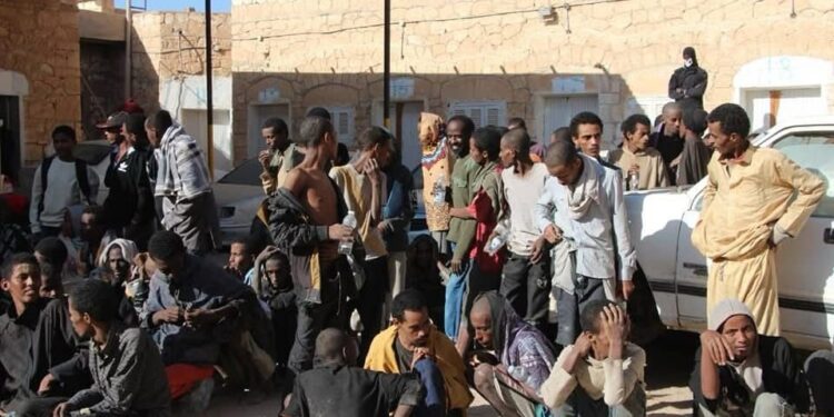 مديرية أمن الجفرة تُحرر 82 مهاجرًا غير شرعي وتقبض على مهربين بزله