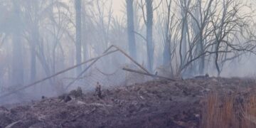 اندلاع حريق واسع فـي مزارع فيوت في بلدية غات