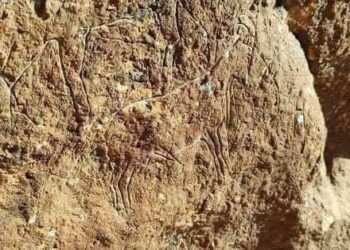 مصلحة الآثار تكتشف موقع أثري جديد يعود إلى فترة ما قبل التاريخ بالقرب من المليطانية