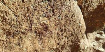 مصلحة الآثار تكتشف موقع أثري جديد يعود إلى فترة ما قبل التاريخ بالقرب من المليطانية