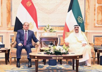 مصر وتركيا تدعوان لتوحيد المؤسسات الأمنية والعسكرية في ليبيا وضرورة خروج القوات الأجنبية