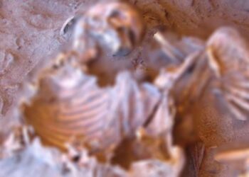 اكتشاف بقايا بشرية غامضة في موقع تكروري الأثري شرق ليبيا