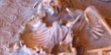 اكتشاف بقايا بشرية غامضة في موقع تكروري الأثري شرق ليبيا