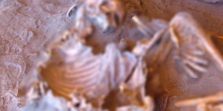 اكتشاف بقايا بشرية غامضة في موقع تكروري الأثري شرق ليبيا