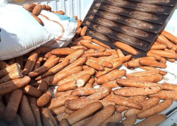 مديرية الإصحاح البيئي تضبط مخبز يستخدم أعلاف الحيوانات في صناعة الخبز بالخمس