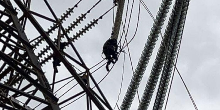 وزارة الكهرباء تعلن عودة التيار تدريجيًا إلى أغلب أحياء بنغازي بعد ساعات من الانقطاع