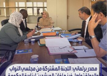 مصدر برلماني: اللجنة المشتركه في مجلسي النواب والدولة تواصل فرز ملفات المرشحين لرئاسة الحكومة