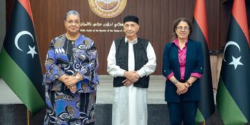 صالح يؤكد للبعثة الأممية ضرورة تشكيل حكومة موحدة لضمان إجراء الانتخابات في أقرب الآجال