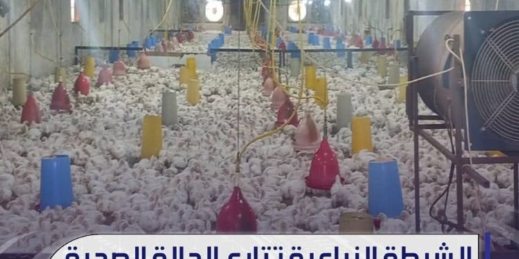 دوريات مركز الشرطة الزراعية بطة تنفذ جولة ميدانية