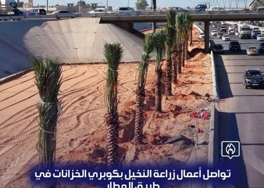 الأرصاد: استقرار الطقس وارتفاع طفيف في الحرارة