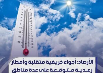 طرابلس تحتضن الاجتماع التحضيري للجنة العشرة الإفريقية لإصلاح مجلس الأمن