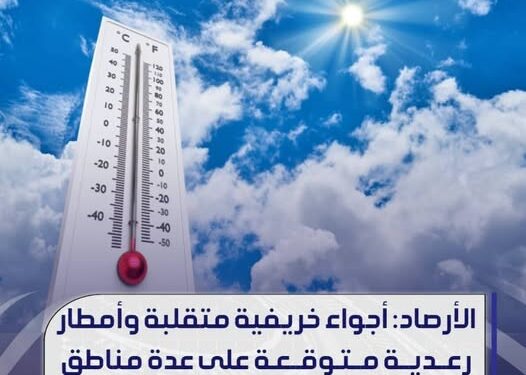طرابلس تحتضن الاجتماع التحضيري للجنة العشرة الإفريقية لإصلاح مجلس الأمن